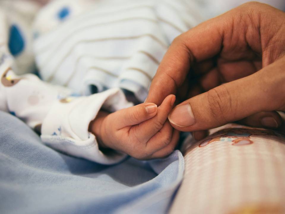 Hand of an infant held by adult.